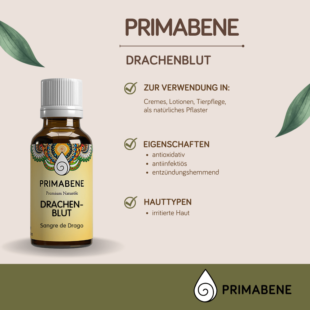 Bild von Drachenblut
